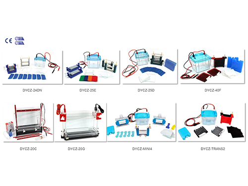 Electrophoresis Products Face Off: How Do Liuyi Electrophoresis products Compare to others