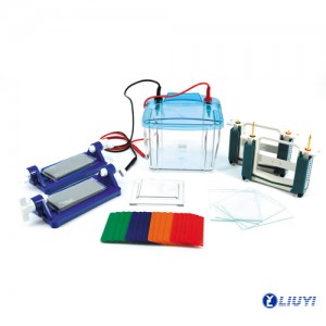 Hot sale Electrophoresis Machine With Cell – 4 Gels Vertical Electrophoresis Cell DYCZ-25E – Liuyi
