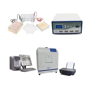 Turnkey Solution for Gel Electrophoresis Products