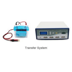 Electrophoresis Transfer All-in-one System