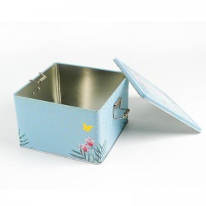 Large Capacity Tin Box With Buckle TTB-023
