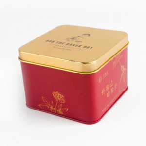 Decorative Square Tea tin can TTB-007