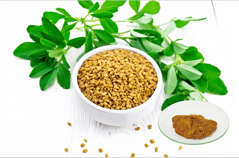 Quality Inspection for High Quality Fenugreek Extract - Furostanol Saponins – Geneham
