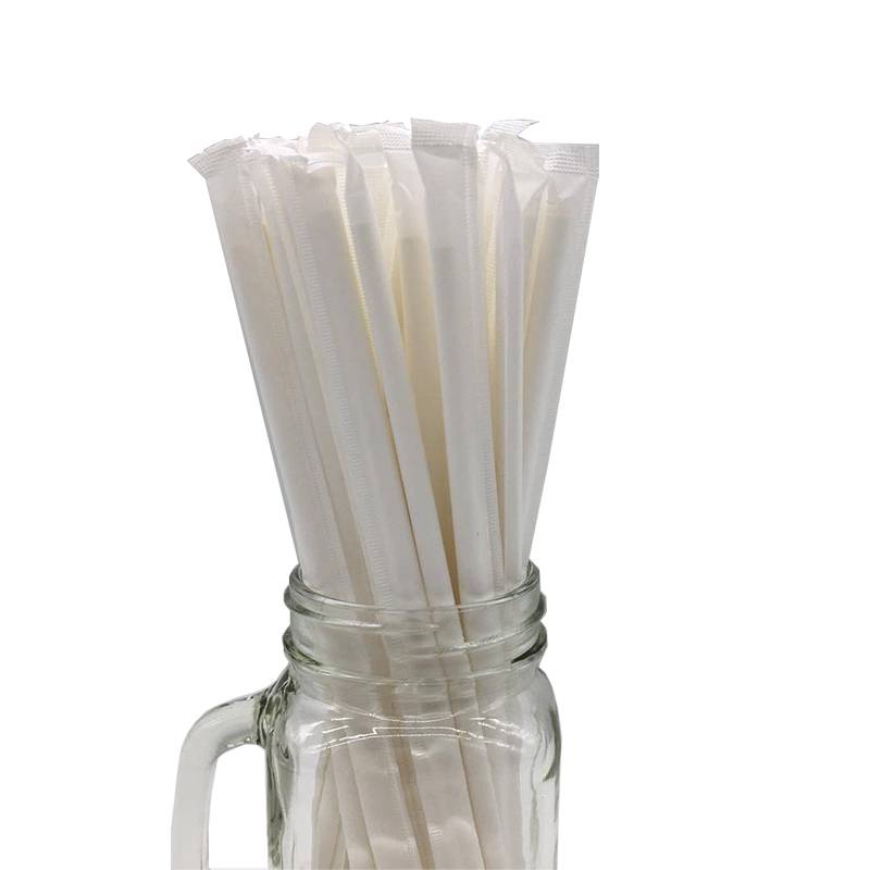 Factory For Reusable Straws Free - Amazon Hot Sell Individually Wrapped Biodegradable Straws – GENFEAL
