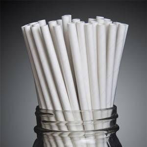 Bamboo Cocktail Straws - FDA Food Grade Arctic White Paper Straw  – GENFEAL