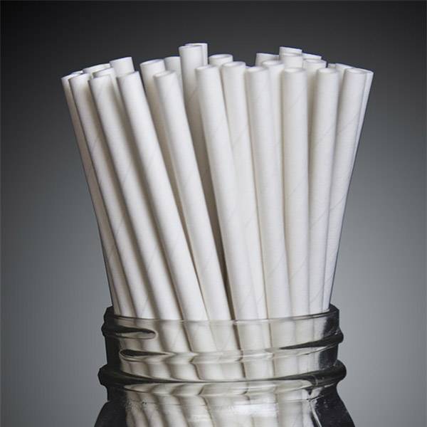 OEM China Plastic Straws To Paper Straws - FDA Food Grade Arctic White Paper Straw  – GENFEAL