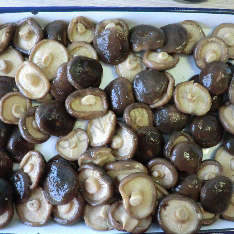 Canned shiitake mushroom (2)