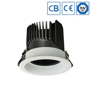 high power downlight for projects