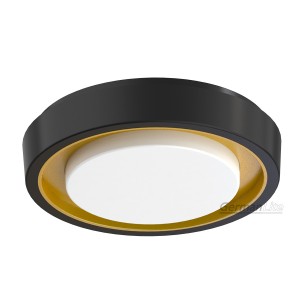 Double Color Circular LED Ceiling Light Waterproof IP65 3CCT CL-Tri-R-G2