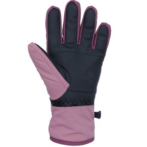 Sports Outdoor Thick Adult Winter Windproof Leather Ski Gloves