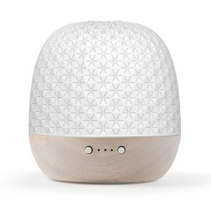 Hot-selling Essential Oil Ceramic 100ml Electric Ultrasonic Aroma Therapy Diffuser
