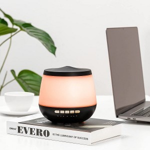 300ml Essential Oil Diffuser with Bluetooth Speaker