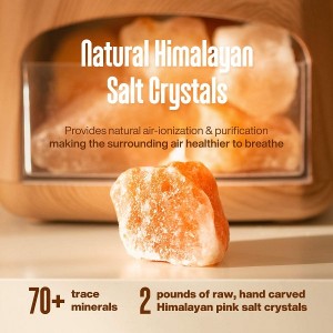 Himalayan Pink Salt Stones Aroma Diffuser Full Wood Grain