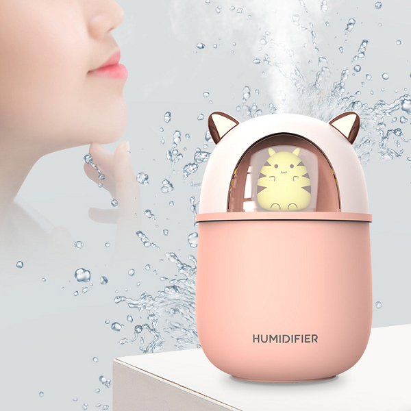Which season is the best to use humidifier in one year?