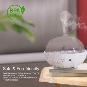 Leading Manufacturer for China Product LED Light Humidifier Moisturizing Facial Steamer