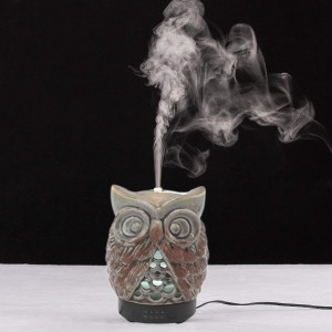 Getter New Hand-make Ceramic Ultrasonic Plug In Aroma Diffus Stone OWL White Matte Diffuser Flower Vase 100ml