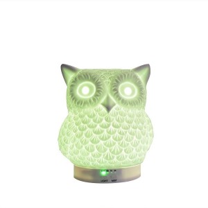 Well-designed China Fashion Style Oil Diffuser Online with 7 Color LED Light