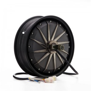 Shutter Lock Motorcycle Manufacturers –  Hub Motor – Xiaoni