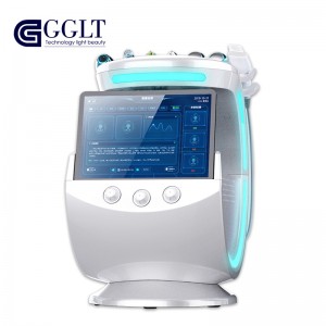 China Wholesale Hydrofacial machine Manufacturers –  Smart Ice Blue Multifunctional Portable Skin Analyzer – GGLT