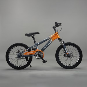 Support customized children’s bikes from Chinese factories