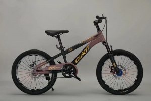 High quality student bikes, mountain bikes from China manufacturer