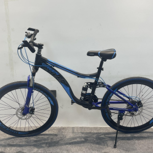 Adult mountain bike made in China factory