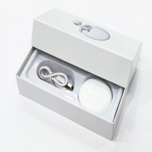 Apple earphones box