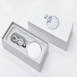 Apple earphones box