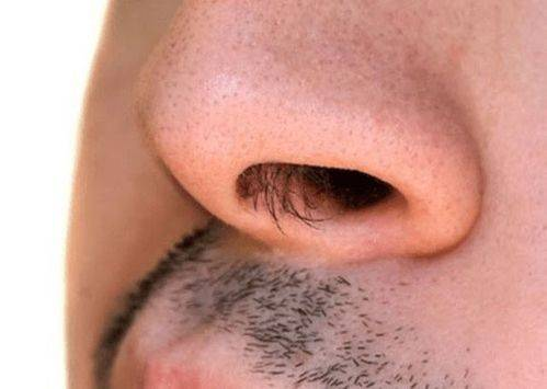 Do we need nose hair trimmer?