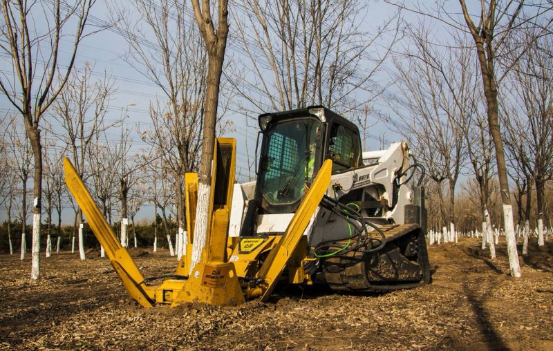 From now on digging trees is no longer difficult, 2 minutes to take you to achieve easy digging trees