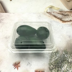 Disposable Fruit Packaging Vacuum Formed Blister Clamshell