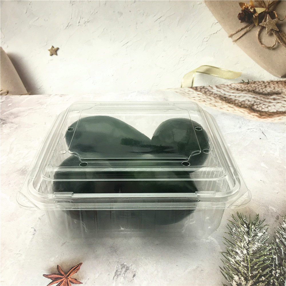 Disposable Fruit Packaging Vacuum Formed Blister Clamshell