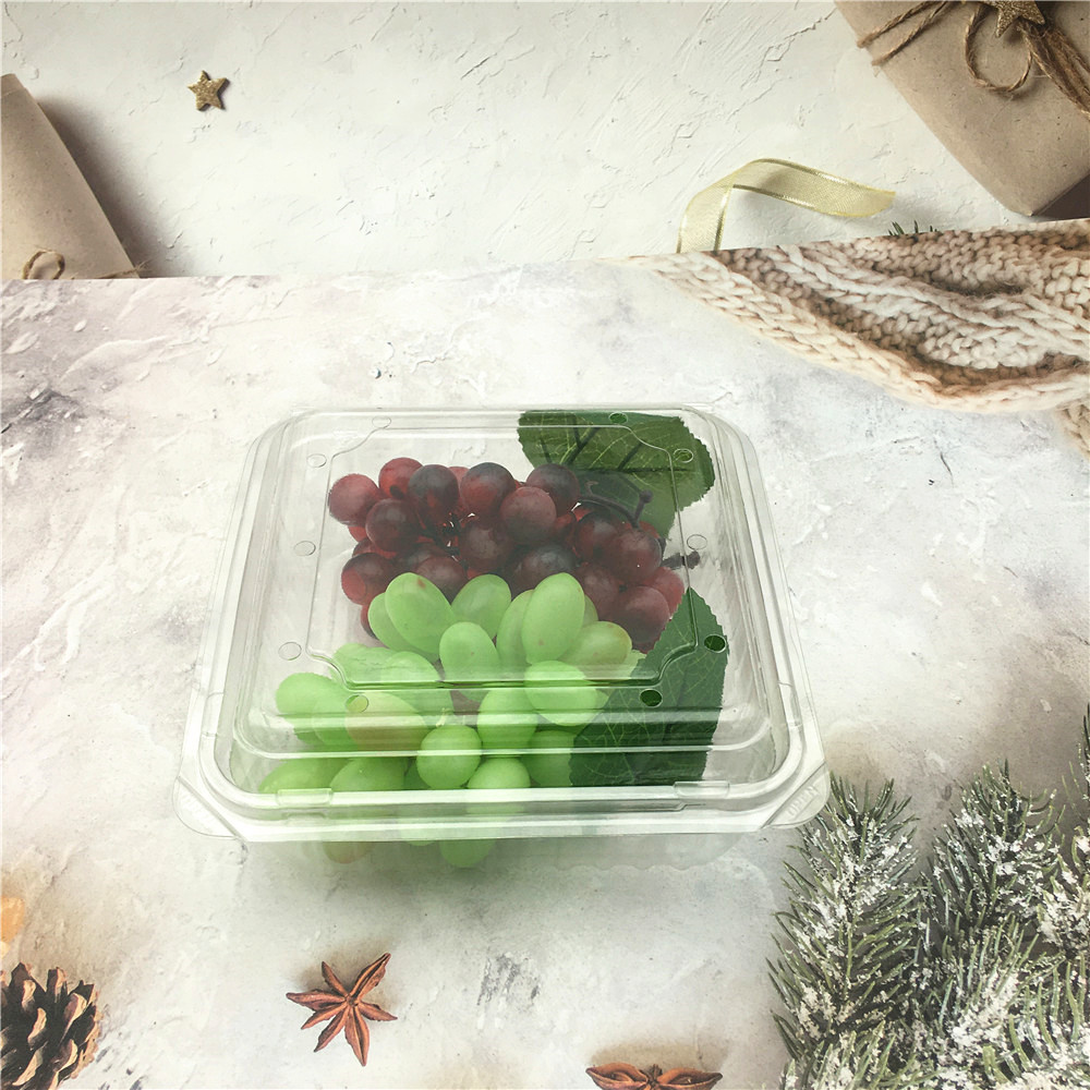 Clear Plastic Blister Clamshell for Food Fruit Packaging Featured Image