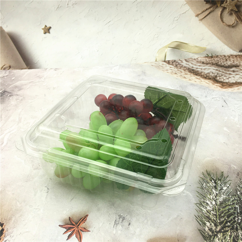 Clear Plastic Blister Clamshell for Food Fruit Packaging