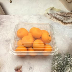 Disposable Plastic PET Fruit Packaging