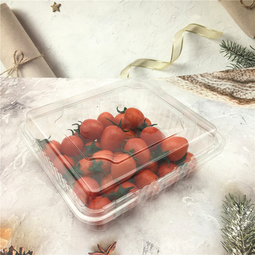 China Supplier Plastic Blister Clamshell for Food Fruit Packaging