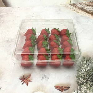 plastic fresh fruit strawberry clamshell container