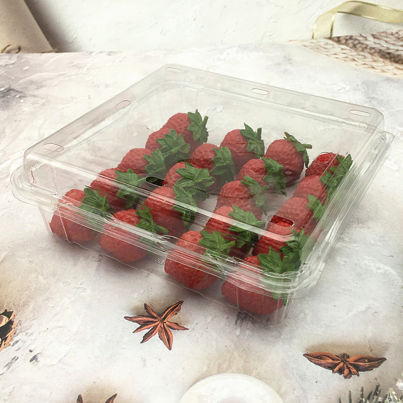 plastic fresh fruit strawberry clamshell container