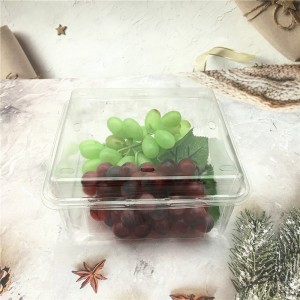 Wholesale Plastic Blister Clamshell for Food Fruit Packaging