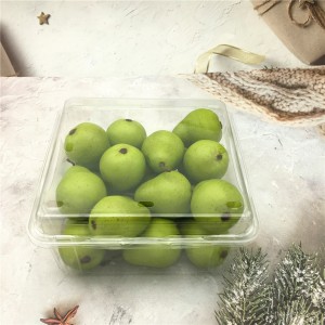 1000g Plastic Blister Fruit Clamshell Packaging