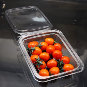 wholesale plastic PET temper evident with safe seal food container