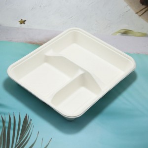 100% Biodegradable Sugarcane Bagasse 3 compartment food container