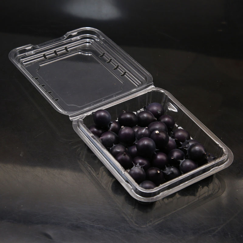 Blister Plastic Clear Fruit Packaging Clamshell for Blueberry