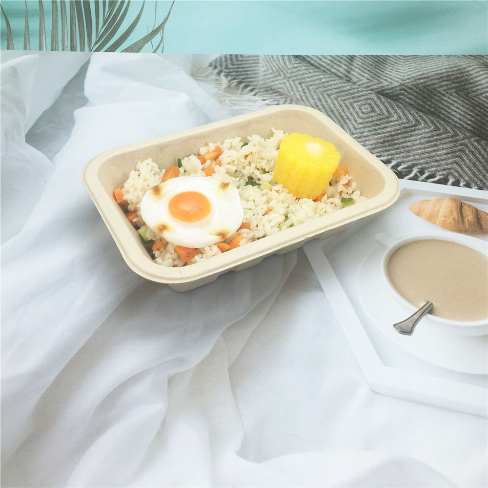 Disposable Eco-Friendly Sugarcane Bagasse Food Tray Container