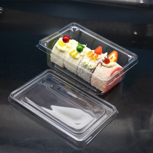 Rectangle Disposable Plastic One Compartment Cake Container