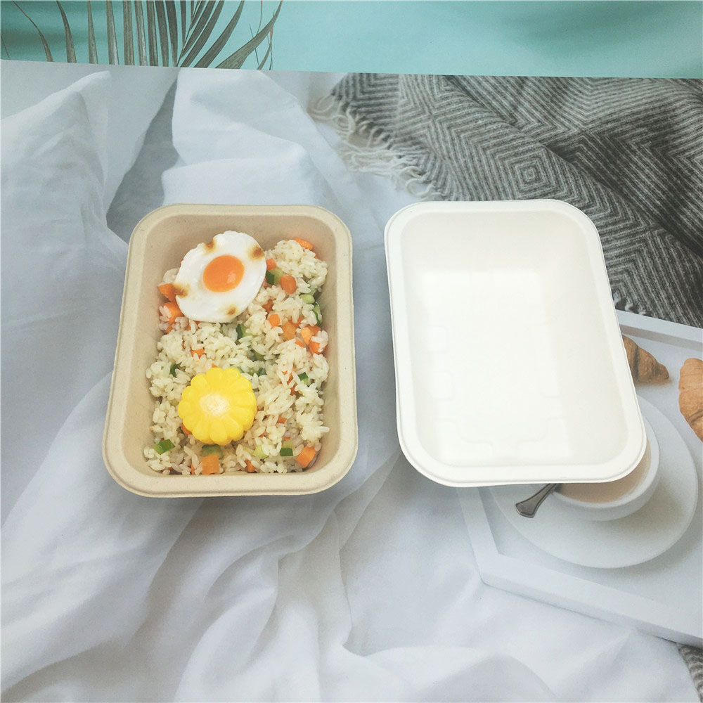 Disposable Eco-Friendly Sugarcane Bagasse Food Tray Container