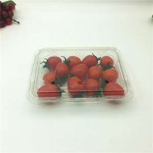 Storage Container for Kitchen Living Room for little tomatoes 200g