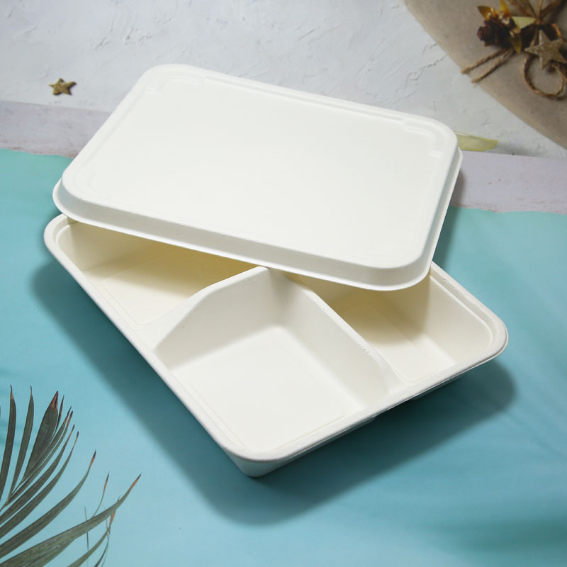 100% Biodegradable Sugarcane Bagasse 3 compartment food container