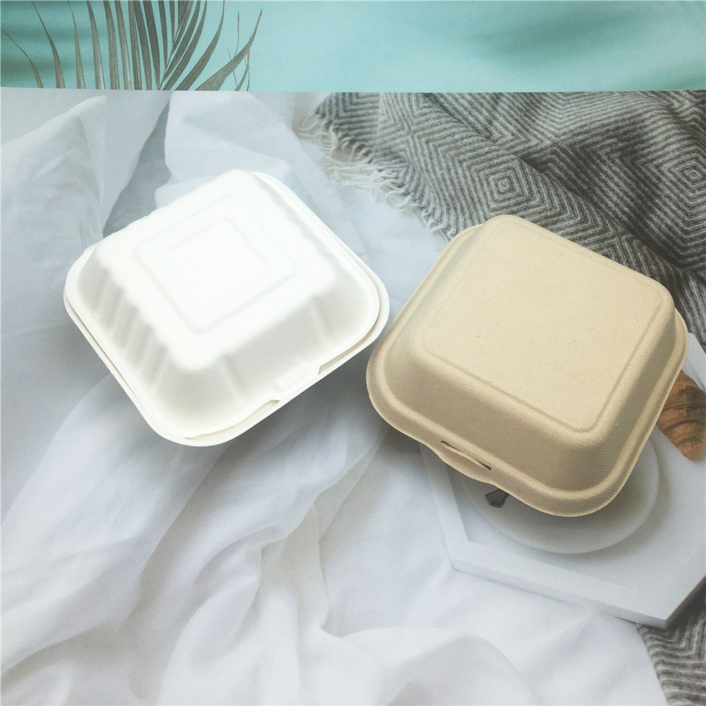 Disposable Eco-Friendly Sugarcane Bagasse Takeaway Food Container