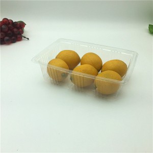 Disposable Child Fruit Plastic Serving Dinner Tray for lemons 500g
